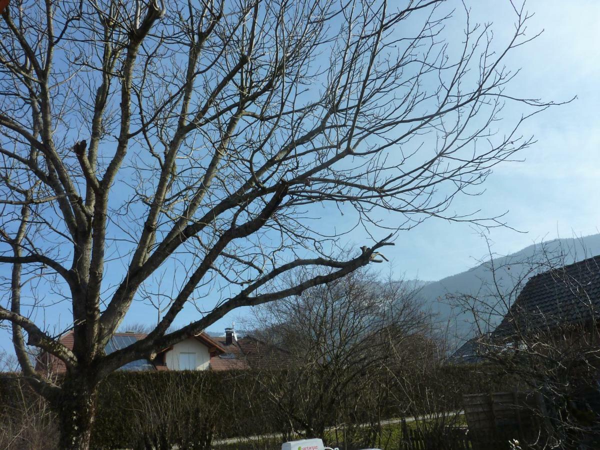Studio 30 M2 Jardinet 10Minutes Annecy Villa Naves-Parmelan Dış mekan fotoğraf